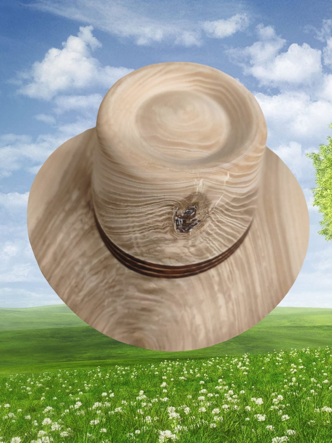 Handgedrechselter Holzhut auf einer Blumenwiese